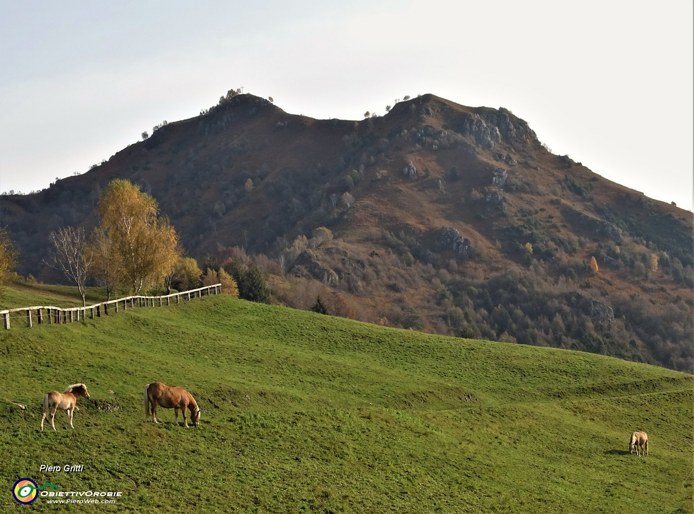 09 Cavalli al pascolo mattutino con  vista sul Monte Gioco.JPG